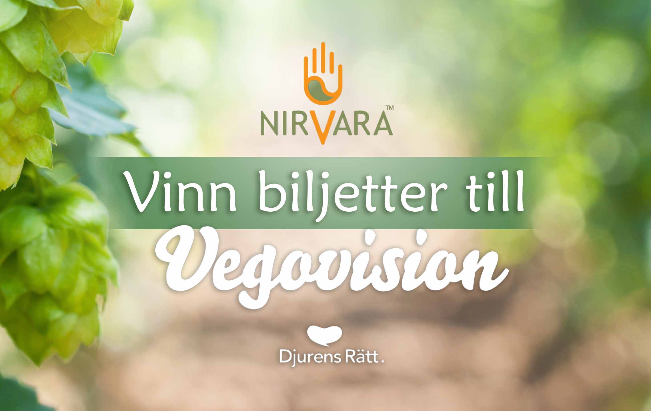 Vegovision djurensrätt hampa nirvara cbd olja